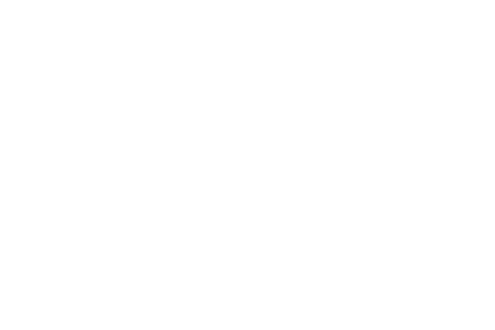 din_450x300