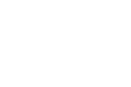 din_450x300
