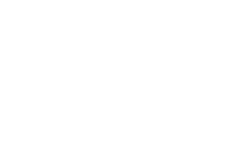 jung_450x300