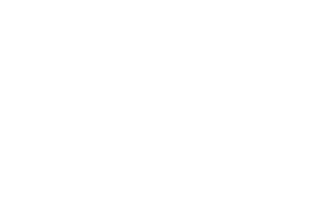 jung_450x300