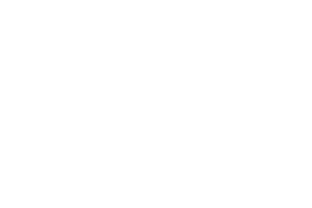 hikvision_450x300