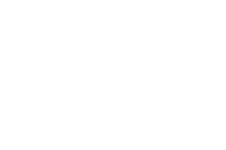 hikvision_450x300